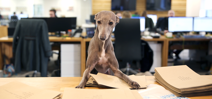 5 things Peggy can teach you about your edu-marketing techniques